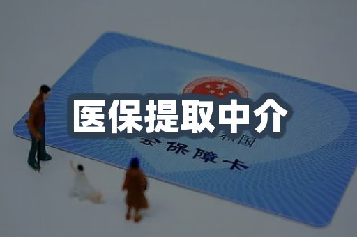医保提取中介